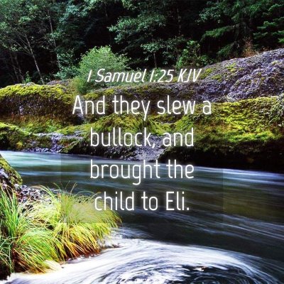 Picture 04 - 1 Samuel 1:25 KJV - And they slew a bullock, and brought the child to - Bible Verse Picture