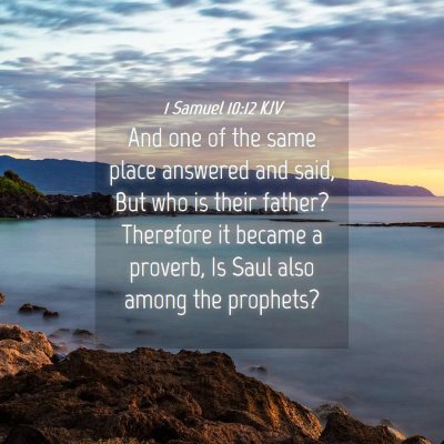 Picture 04 - 1 Samuel 10:12 KJV - And one of the same place answered and said, But - Bible Verse Picture