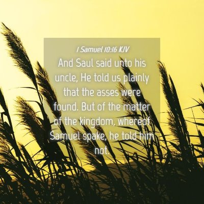 Picture 04 - 1 Samuel 10:16 KJV - And Saul said unto his uncle, He told us plainly - Bible Verse Picture