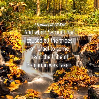 Picture 04 - 1 Samuel 10:20 KJV - And when Samuel had caused all the tribes of - Bible Verse Picture