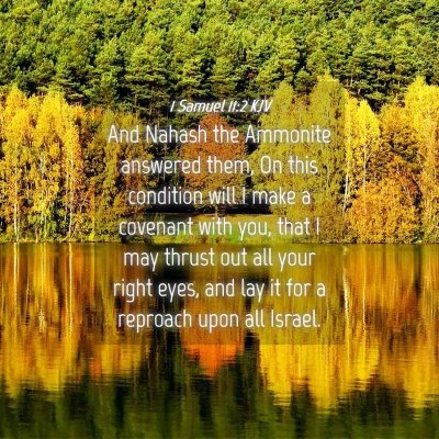 Picture 04 - 1 Samuel 11:2 KJV - And Nahash the Ammonite answered them, On this - Bible Verse Picture