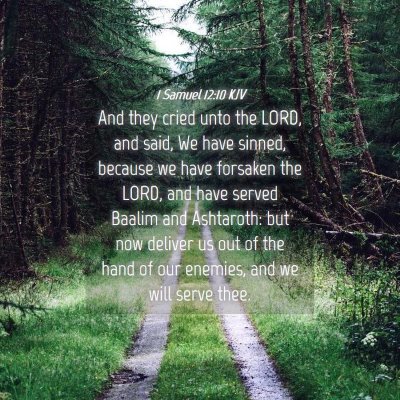 Picture 04 - 1 Samuel 12:10 KJV - And they cried unto the LORD, and said, We have - Bible Verse Picture