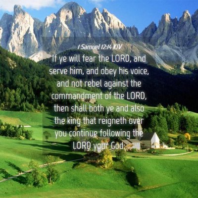 Picture 04 - 1 Samuel 12:14 KJV - If ye will fear the LORD, and serve him, and obey - Bible Verse Picture