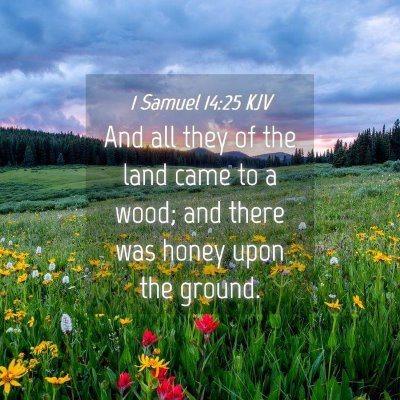 Picture 04 - 1 Samuel 14:25 KJV - And all they of the land came to a wood; and - Bible Verse Picture