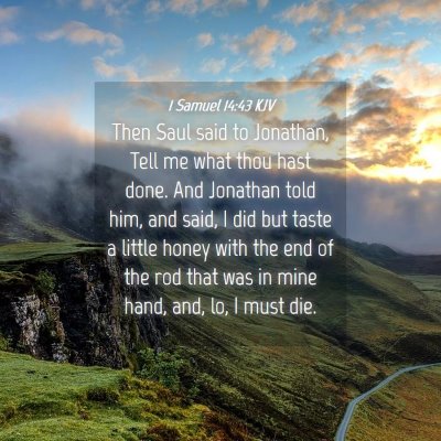 Picture 04 - 1 Samuel 14:43 KJV - Then Saul said to Jonathan, Tell me what thou - Bible Verse Picture
