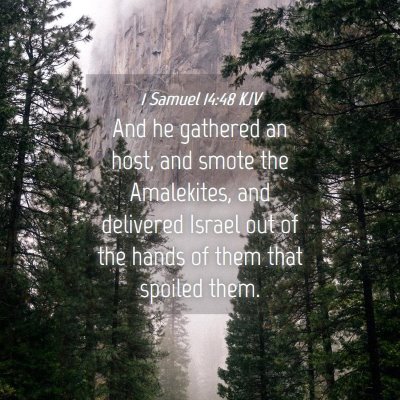 Picture 04 - 1 Samuel 14:48 KJV - And he gathered an host, and smote the - Bible Verse Picture