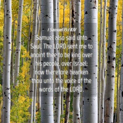 Picture 04 - 1 Samuel 15:1 KJV - Samuel also said unto Saul, The LORD sent me to - Bible Verse Picture
