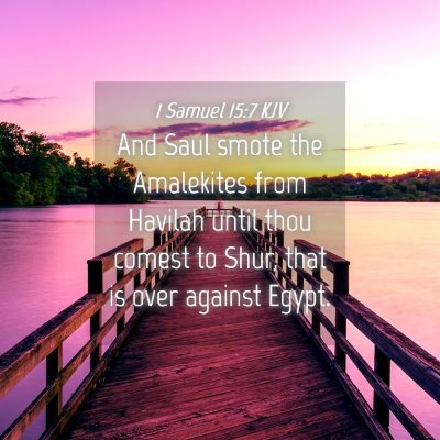Picture 04 - 1 Samuel 15:7 KJV - And Saul smote the Amalekites from Havilah until - Bible Verse Picture