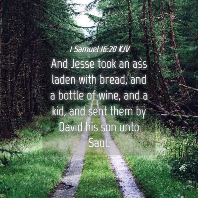 Picture 04 - 1 Samuel 16:20 KJV - And Jesse took an ass laden with bread, and a - Bible Verse Picture