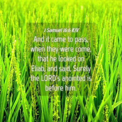 Picture 04 - 1 Samuel 16:6 KJV - And it came to pass, when they were come, that he - Bible Verse Picture