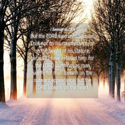 Picture 04 - 1 Samuel 16:7 KJV - But the LORD said unto Samuel, Look not on his - Bible Verse Picture