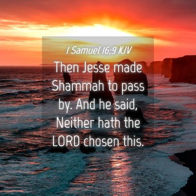 Picture 04 - 1 Samuel 16:9 KJV - Then Jesse made Shammah to pass by. And he said, - Bible Verse Picture
