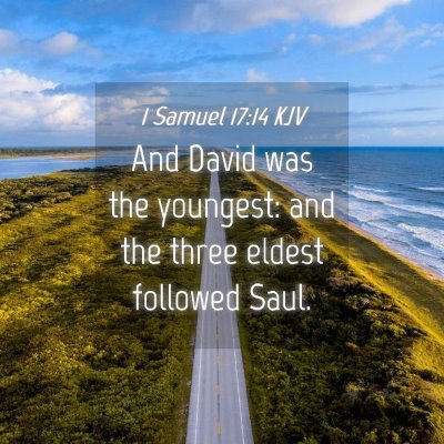 Picture 04 - 1 Samuel 17:14 KJV - And David was the youngest: and the three eldest - Bible Verse Picture