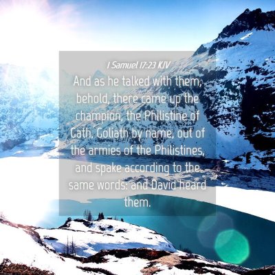 Picture 04 - 1 Samuel 17:23 KJV - And as he talked with them, behold, there came up - Bible Verse Picture