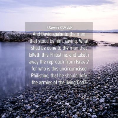Picture 04 - 1 Samuel 17:26 KJV - And David spake to the men that stood by him, - Bible Verse Picture
