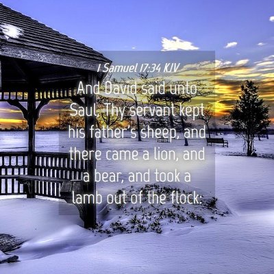 Picture 04 - 1 Samuel 17:34 KJV - And David said unto Saul, Thy servant kept his - Bible Verse Picture