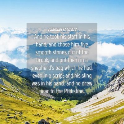 Picture 04 - 1 Samuel 17:40 KJV - And he took his staff in his hand, and chose him - Bible Verse Picture