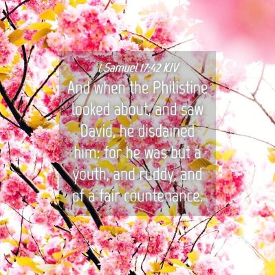 Picture 04 - 1 Samuel 17:42 KJV - And when the Philistine looked about, and saw - Bible Verse Picture