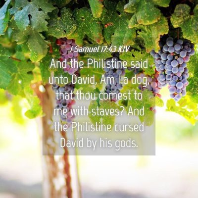 Picture 04 - 1 Samuel 17:43 KJV - And the Philistine said unto David, Am I a dog, - Bible Verse Picture