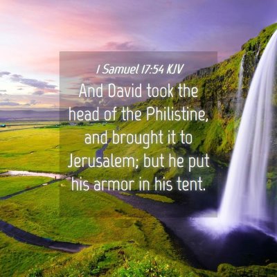 Picture 04 - 1 Samuel 17:54 KJV - And David took the head of the Philistine, and - Bible Verse Picture