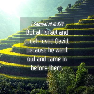 Picture 04 - 1 Samuel 18:16 KJV - But all Israel and Judah loved David, because he - Bible Verse Picture