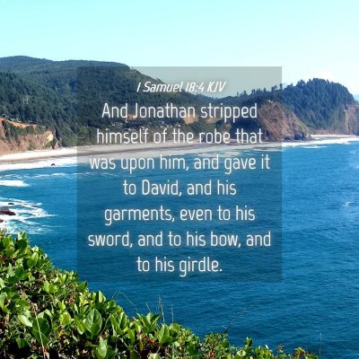 Picture 04 - 1 Samuel 18:4 KJV - And Jonathan stripped himself of the robe that - Bible Verse Picture