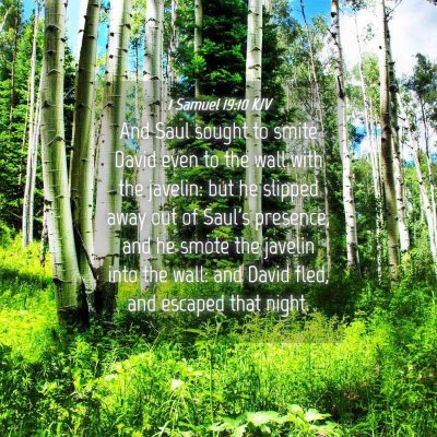 Picture 04 - 1 Samuel 19:10 KJV - And Saul sought to smite David even to the wall - Bible Verse Picture
