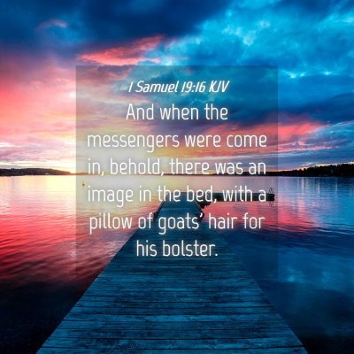 Picture 04 - 1 Samuel 19:16 KJV - And when the messengers were come in, behold, - Bible Verse Picture
