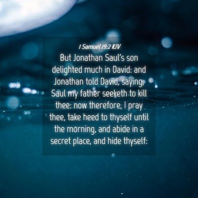 Picture 04 - 1 Samuel 19:2 KJV - But Jonathan Saul's son delighted much in David: - Bible Verse Picture