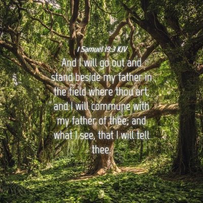 Picture 04 - 1 Samuel 19:3 KJV - And I will go out and stand beside my father in - Bible Verse Picture