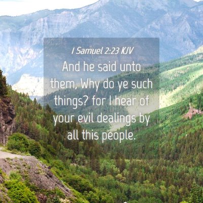 Picture 04 - 1 Samuel 2:23 KJV - And he said unto them, Why do ye such things? for - Bible Verse Picture