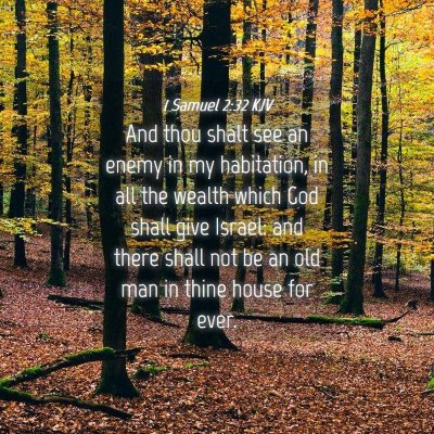 Picture 04 - 1 Samuel 2:32 KJV - And thou shalt see an enemy in my habitation, in - Bible Verse Picture