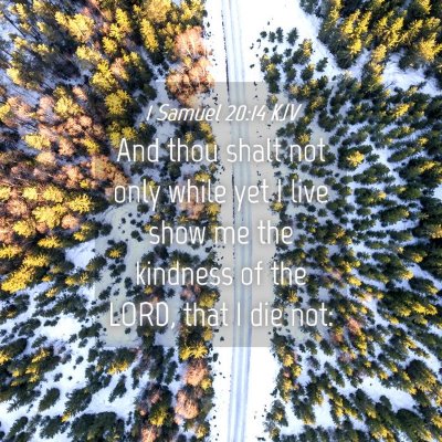 Picture 04 - 1 Samuel 20:14 KJV - And thou shalt not only while yet I live show me - Bible Verse Picture
