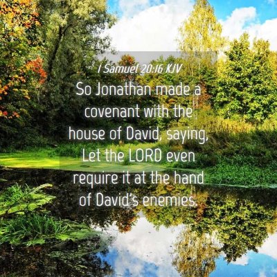 Picture 04 - 1 Samuel 20:16 KJV - So Jonathan made a covenant with the house of - Bible Verse Picture