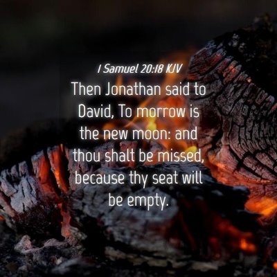 Picture 04 - 1 Samuel 20:18 KJV - Then Jonathan said to David, To morrow is the new - Bible Verse Picture