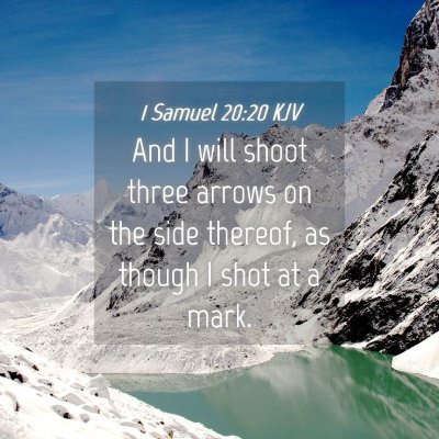 Picture 04 - 1 Samuel 20:20 KJV - And I will shoot three arrows on the side - Bible Verse Picture