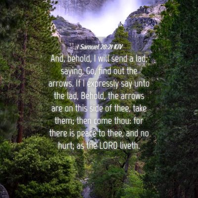 Picture 04 - 1 Samuel 20:21 KJV - And, behold, I will send a lad, saying, Go, find - Bible Verse Picture