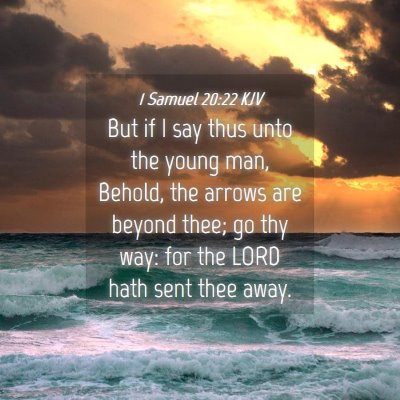 Picture 04 - 1 Samuel 20:22 KJV - But if I say thus unto the young man, Behold, the - Bible Verse Picture