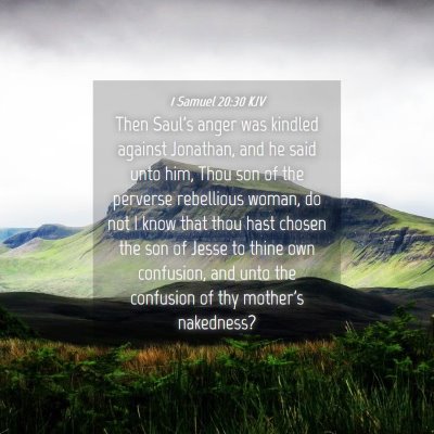 Picture 04 - 1 Samuel 20:30 KJV - Then Saul's anger was kindled against Jonathan, - Bible Verse Picture