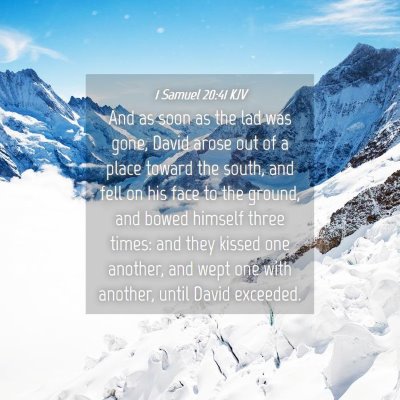 Picture 04 - 1 Samuel 20:41 KJV - And as soon as the lad was gone, David arose out - Bible Verse Picture