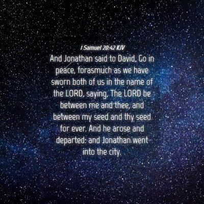 Picture 04 - 1 Samuel 20:42 KJV - And Jonathan said to David, Go in peace, - Bible Verse Picture