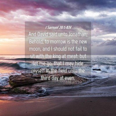Picture 04 - 1 Samuel 20:5 KJV - And David said unto Jonathan, Behold, to morrow - Bible Verse Picture