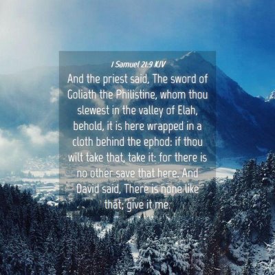 Picture 04 - 1 Samuel 21:9 KJV - And the priest said, The sword of Goliath the - Bible Verse Picture