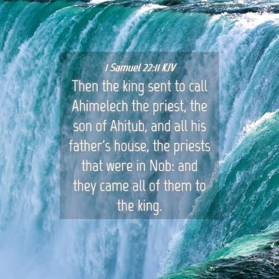 Picture 04 - 1 Samuel 22:11 KJV - Then the king sent to call Ahimelech the priest, - Bible Verse Picture