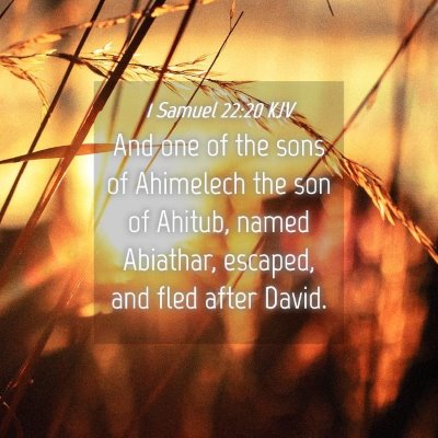 Picture 04 - 1 Samuel 22:20 KJV - And one of the sons of Ahimelech the son of - Bible Verse Picture