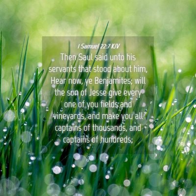Picture 04 - 1 Samuel 22:7 KJV - Then Saul said unto his servants that stood about - Bible Verse Picture