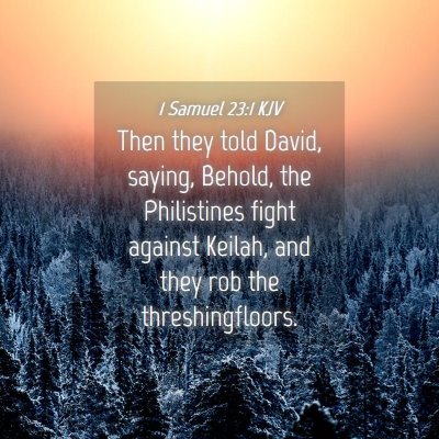 Picture 04 - 1 Samuel 23:1 KJV - Then they told David, saying, Behold, the - Bible Verse Picture