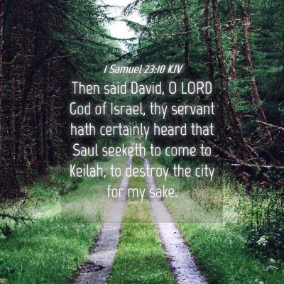 Picture 04 - 1 Samuel 23:10 KJV - Then said David, O LORD God of Israel, thy - Bible Verse Picture