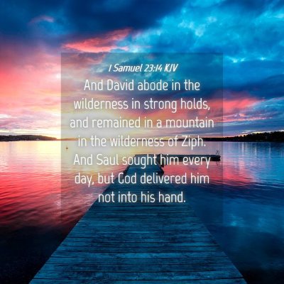Picture 04 - 1 Samuel 23:14 KJV - And David abode in the wilderness in strong - Bible Verse Picture