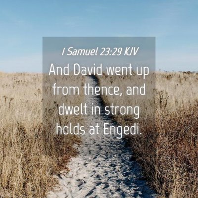 Picture 04 - 1 Samuel 23:29 KJV - And David went up from thence, and dwelt in - Bible Verse Picture